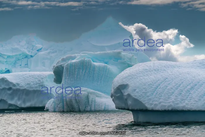 : Antarctica, Yalour Islands. Landscape with icebergs and : Antarctica, Yalour Islands. Landscape with icebergs and