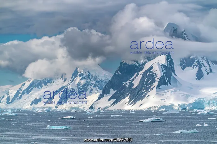 : Antarctica, Yalour Islands. Landscape with mountains and : Antarctica, Yalour Islands. Landscape with mountains and
