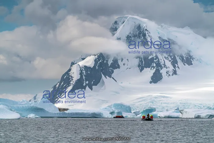 : Antarctica, Yalour Islands. Tourists in Zodiacs viewing : Antarctica, Yalour Islands. Tourists in Zodiacs viewing