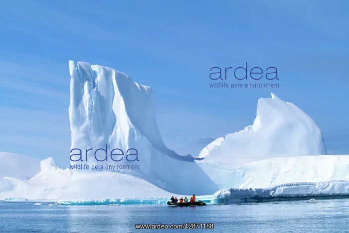: Antartica - Antarctic Peninsula : Antartica - Antarctic Peninsula