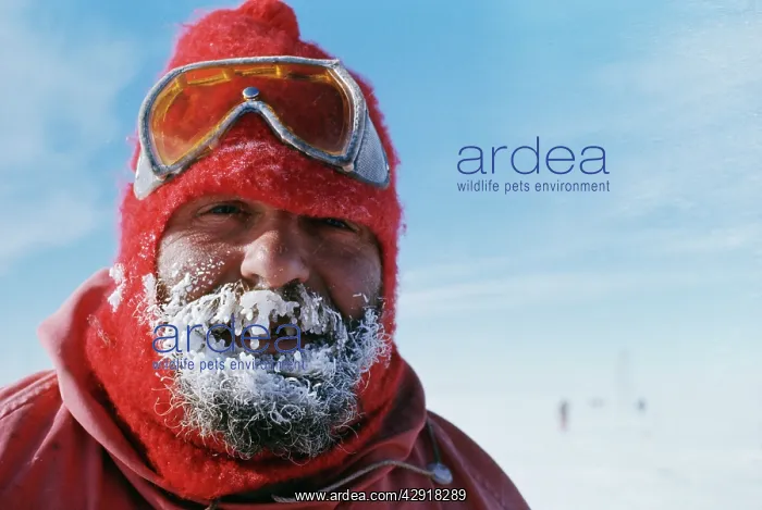 : Antartica - Frost on face at -30uc, Shackleton Base : Antartica - Frost on face at -30uc, Shackleton Base