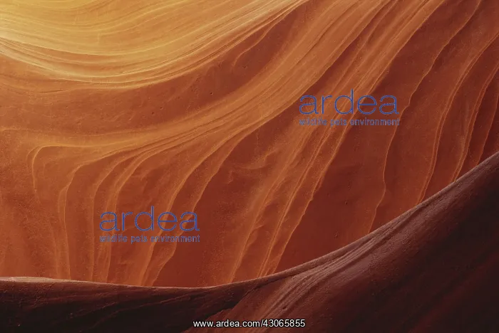 : Antelope Canyon, Arizona : Antelope Canyon, Arizona