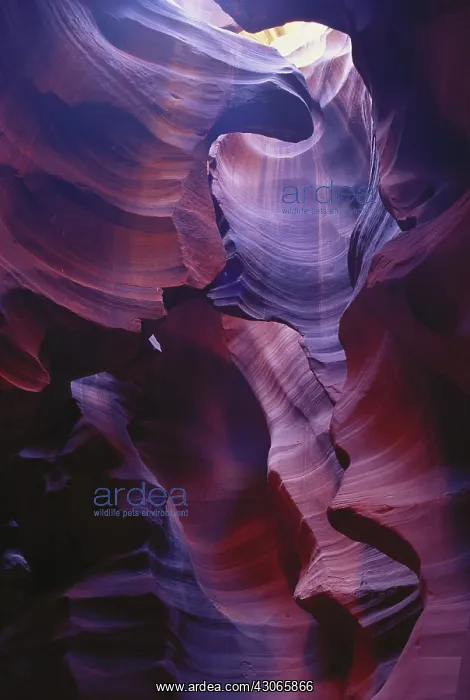 : Antelope Canyon, Arizona : Antelope Canyon, Arizona