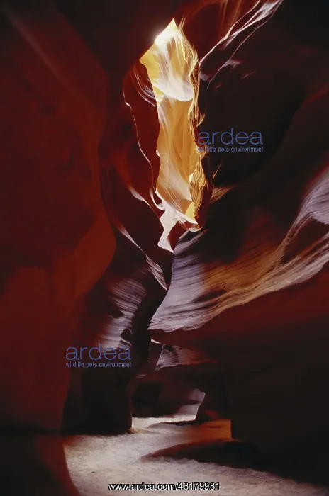 : Antelope Canyon, Arizona : Antelope Canyon, Arizona