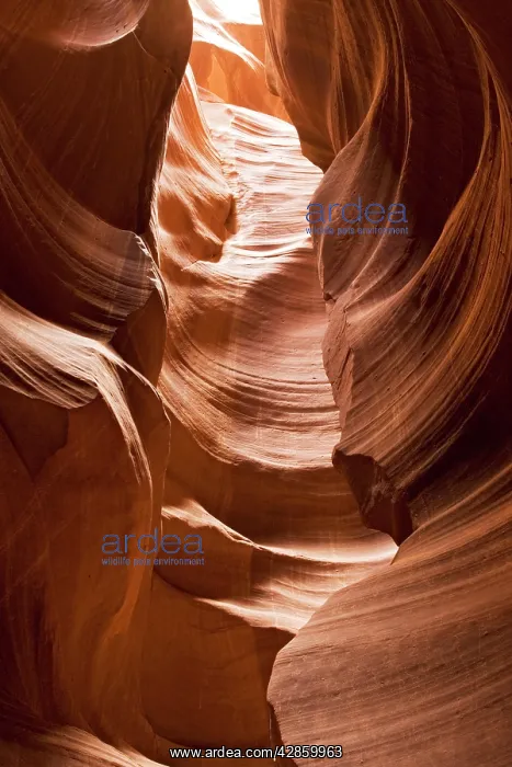 : Antelope Canyon - exceptional narrow slot canyon : Antelope Canyon - exceptional narrow slot canyon