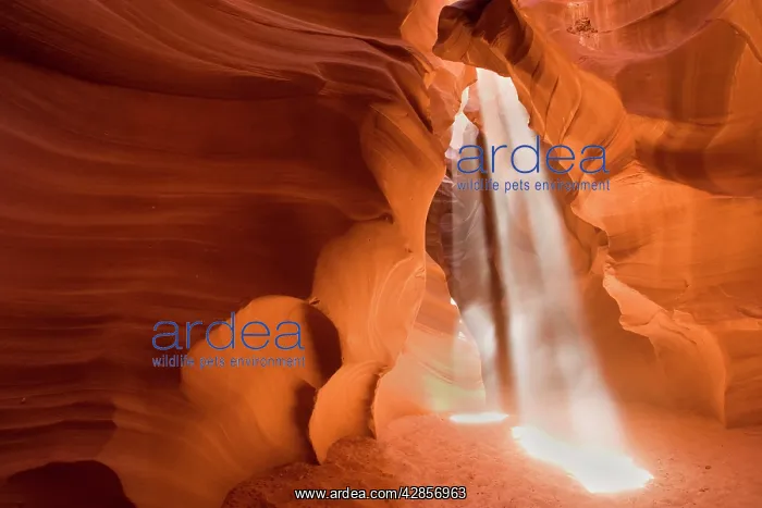 : Antelope Canyon - swirling Navajo sandstone : Antelope Canyon - swirling Navajo sandstone