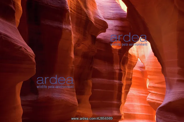 : Antelope Canyon - swirling Navajo sandstone : Antelope Canyon - swirling Navajo sandstone