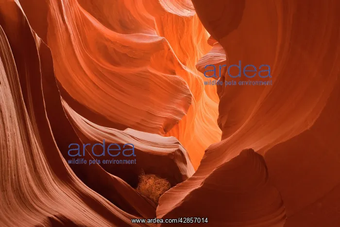 : Antelope Canyon - swirling Navajo sandstone : Antelope Canyon - swirling Navajo sandstone