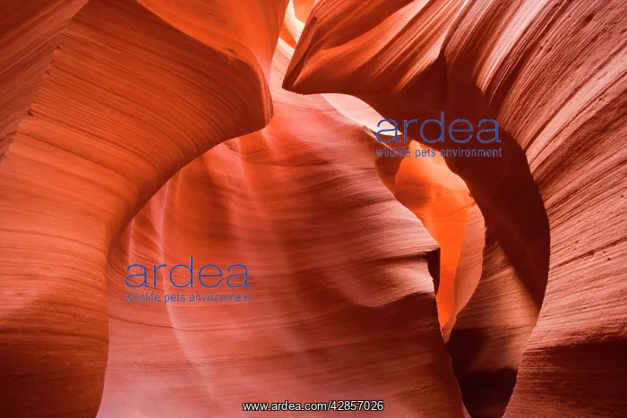 : Antelope Canyon - swirling Navajo sandstone : Antelope Canyon - swirling Navajo sandstone