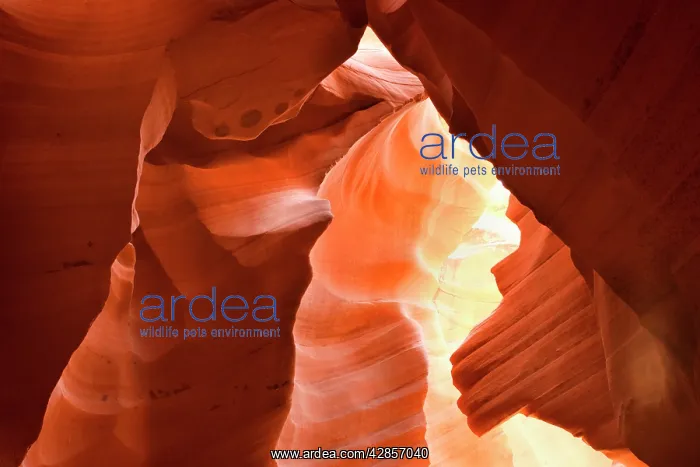 : Antelope Canyon - swirling Navajo sandstone : Antelope Canyon - swirling Navajo sandstone