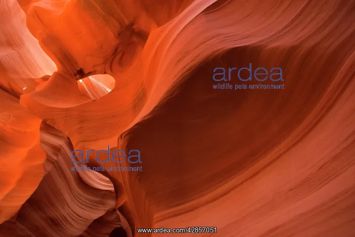 : Antelope Canyon - swirling Navajo sandstone : Antelope Canyon - swirling Navajo sandstone