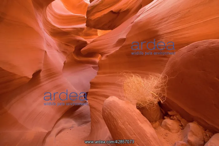 : Antelope Canyon - swirling Navajo sandstone : Antelope Canyon - swirling Navajo sandstone