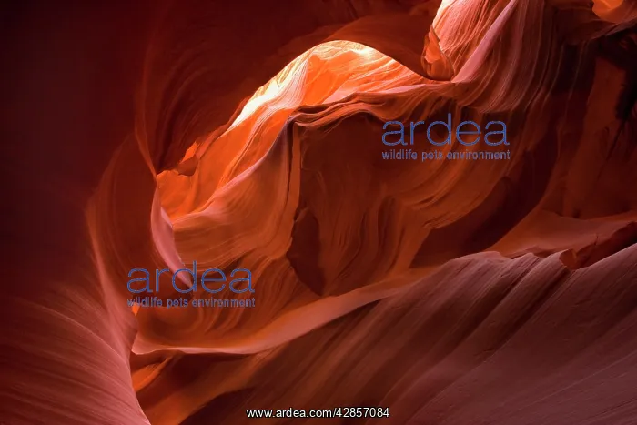 : Antelope Canyon - swirling Navajo sandstone : Antelope Canyon - swirling Navajo sandstone