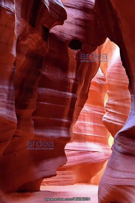 : Antelope canyon (Tse? bighanilini), Page, Arizona : Antelope canyon (Tse? bighanilini), Page, Arizona