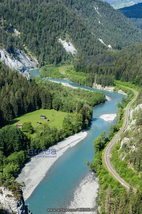 : Anterior Rhine meanders through Rhine gorge, Ruinaulta : Anterior Rhine meanders through Rhine gorge, Ruinaulta