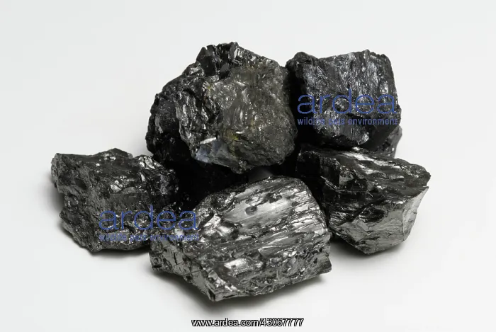 : Anthracite Coal : Anthracite Coal