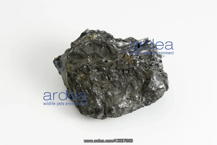: Anthracite Coal : Anthracite Coal