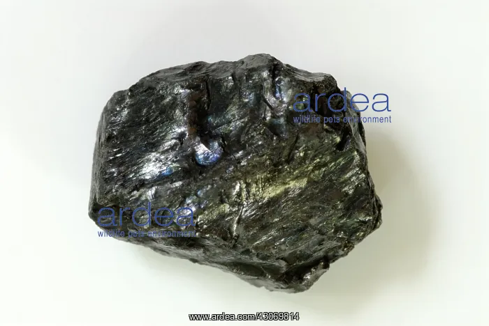 : Anthracite Coal : Anthracite Coal