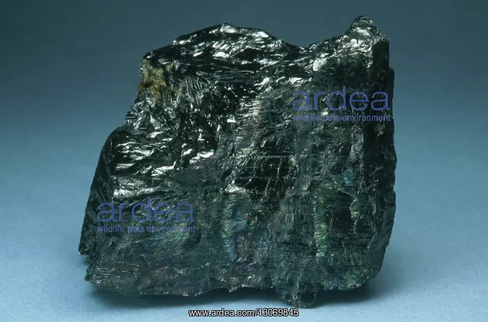 : Anthracite Coal : Anthracite Coal