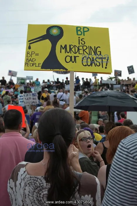 : Anti-BP Protest in New Orleans : Anti-BP Protest in New Orleans