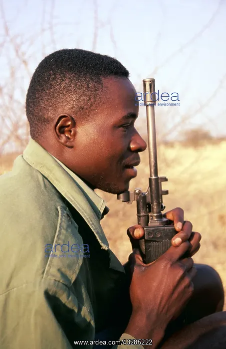 : Anti-poaching - Game scout, part of anti-rhino poaching : Anti-poaching - Game scout, part of anti-rhino poaching