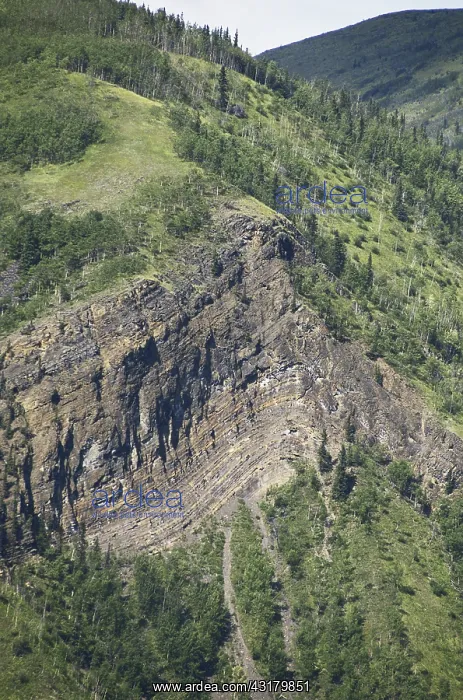 : Anticline in British Columbia : Anticline in British Columbia