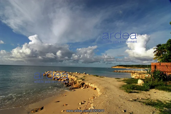  : Antigua, Dickenson Bay, beautiful view of
