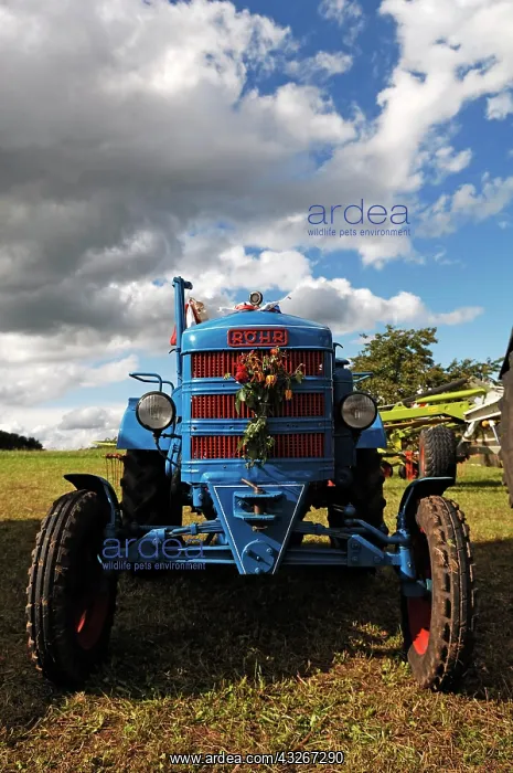 : Antique tractor meeting, Roehr tractor, built in : Antique tractor meeting, Roehr tractor, built in