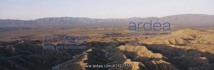 : Anza Borrego Badlands, California : Anza Borrego Badlands, California