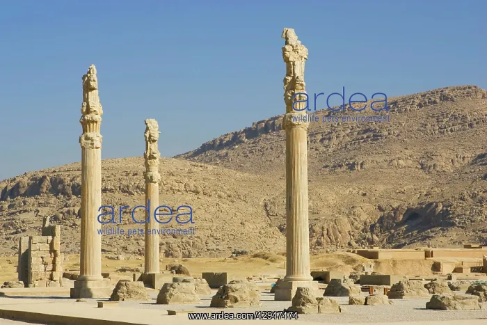  : Apadana Palace, Persepolis, Iran