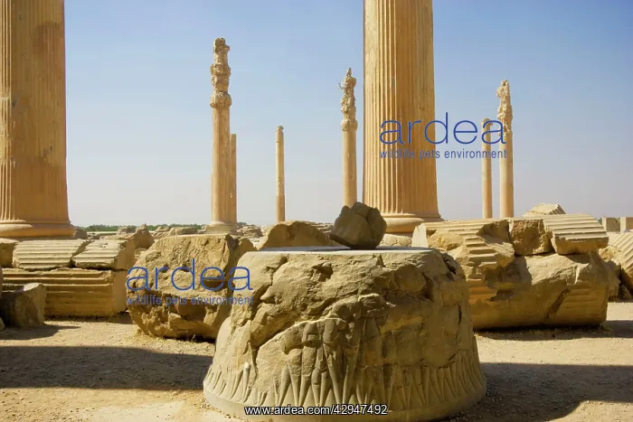  : Apadana Palace, Persepolis, Iran