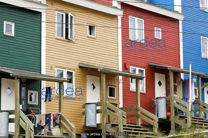 : Apartment buildings, Sisimiut, Greenland : Apartment buildings, Sisimiut, Greenland
