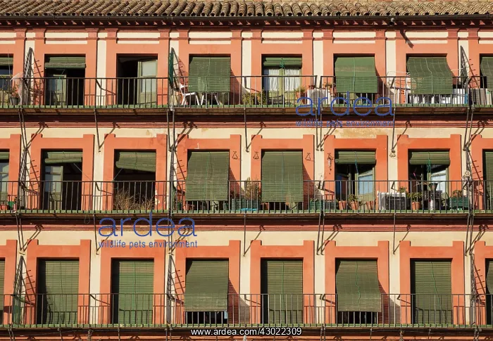 : Apartments at the Plaza de la Corredera : Apartments at the Plaza de la Corredera