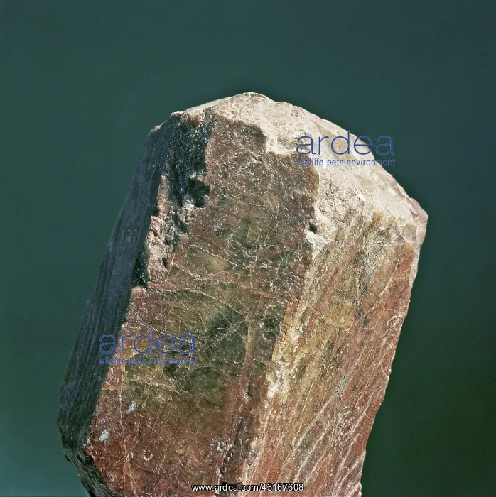: Apatite is a group of phosphate minerals, usually referring to hydroxylapatite : Apatite is a group of phosphate minerals, usually referring to hydroxylapatite