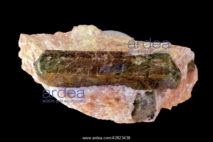 : Apatite - Ca5(PO4)3F : Apatite - Ca5(PO4)3F