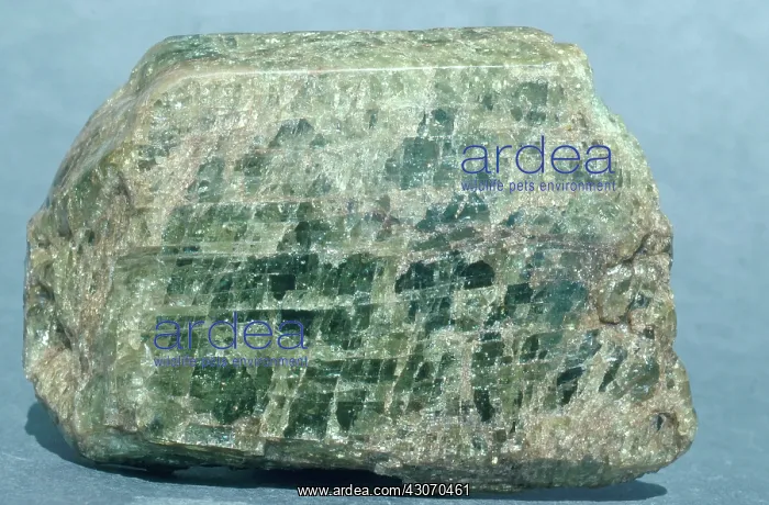 : Apatite Crystal : Apatite Crystal