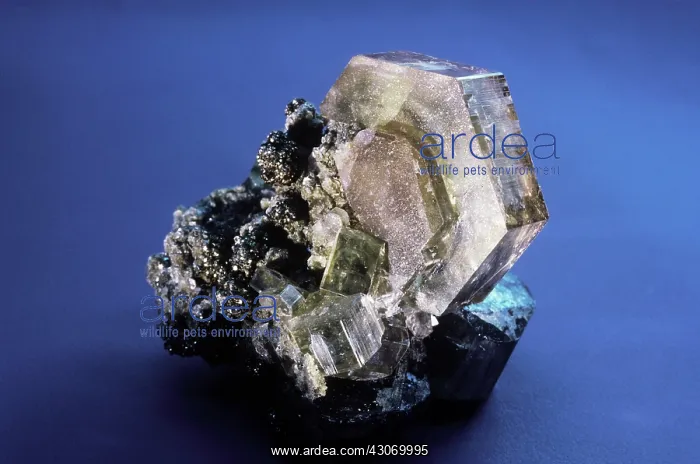 : Apatite from Panesqueira, Portugal : Apatite from Panesqueira, Portugal
