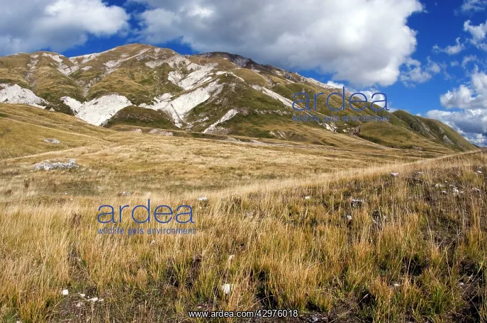  : Apennines habitat