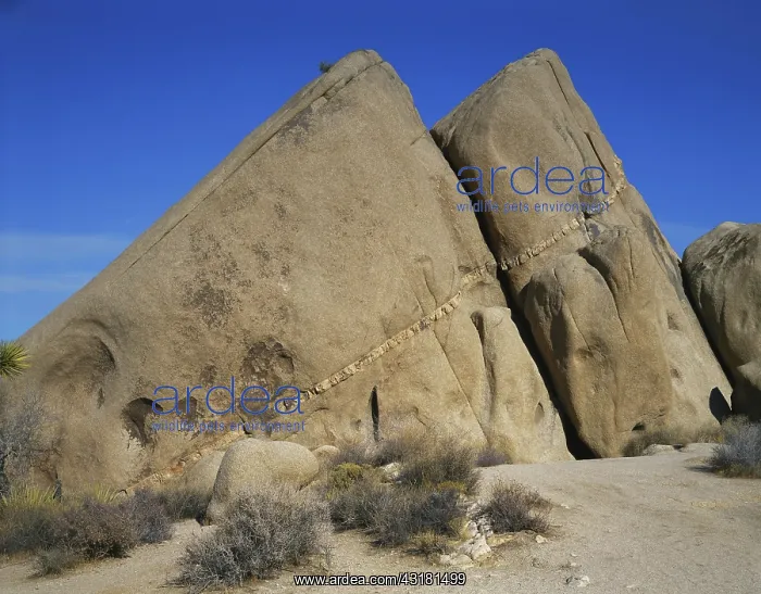 : Aplite Dike in Monzogranite : Aplite Dike in Monzogranite