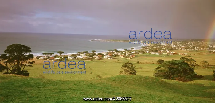: Apollo Bay - on the Great Ocean Road - with rainbow : Apollo Bay - on the Great Ocean Road - with rainbow