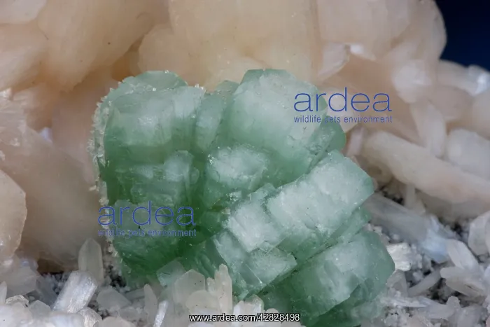  : Apophylite (green) and Stilbite (pink)