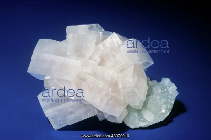 : Apophyllite from Centreville, Virginia : Apophyllite from Centreville, Virginia