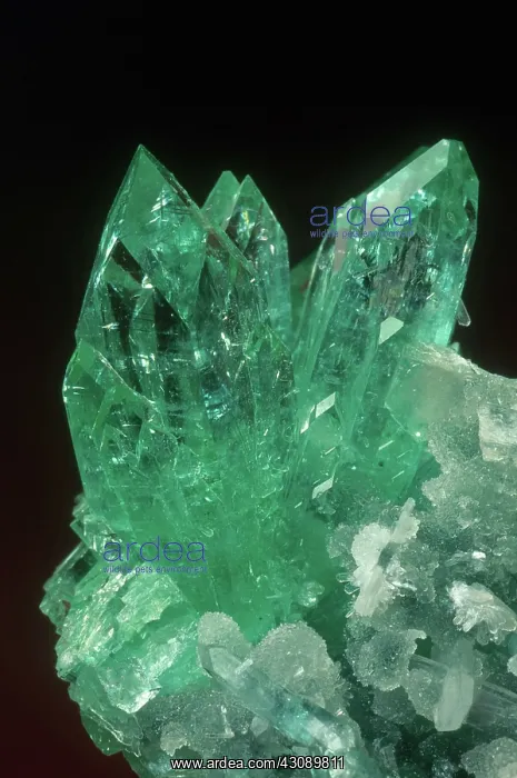 : Apophyllite Crystals : Apophyllite Crystals
