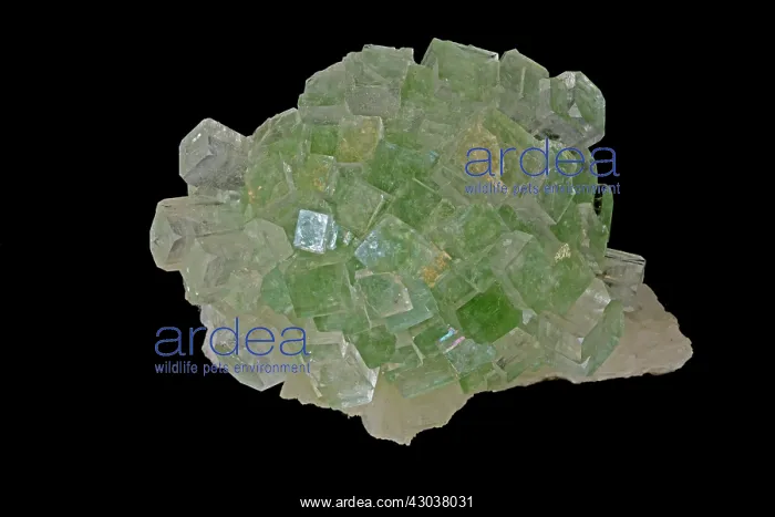 : Apophyllite India, refers to a specific group of : Apophyllite India, refers to a specific group of