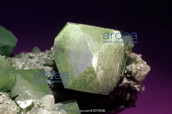 : Apophyllite from Paterson, New Jersey : Apophyllite from Paterson, New Jersey