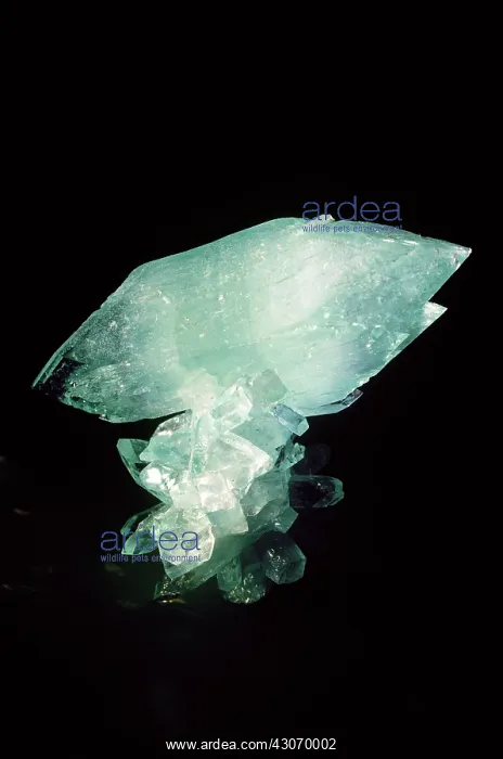 : Apophyllite from Poona, India : Apophyllite from Poona, India