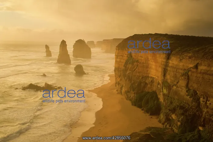 : Twelve Apostles : Twelve Apostles