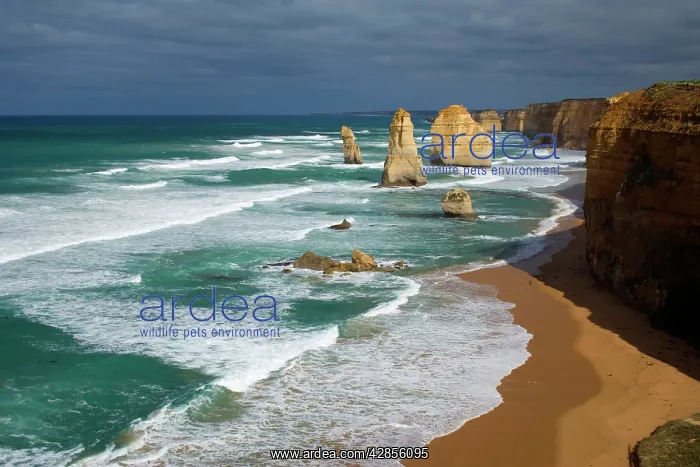 : Twelve Apostles : Twelve Apostles