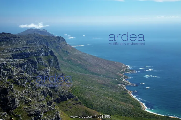 : The Twelve Apostles and Atlantic Seaboard : The Twelve Apostles and Atlantic Seaboard