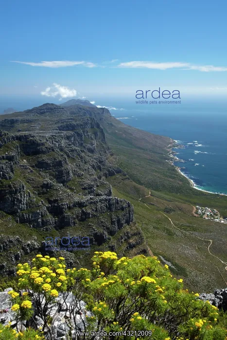 : The Twelve Apostles and Atlantic Seaboard : The Twelve Apostles and Atlantic Seaboard